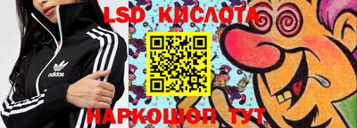 стафф Кандалакша