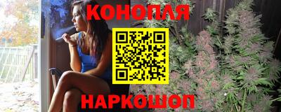 стафф Кандалакша