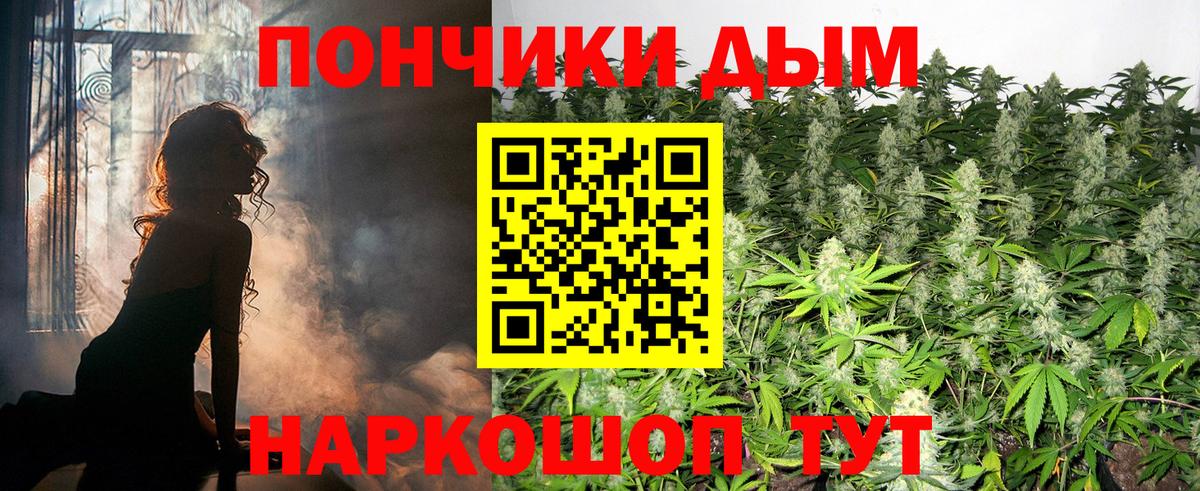 Каннабис индика  Вход с VPN  Кудымкар  Марихуана план  Бошки марихуана Bruce Banner 